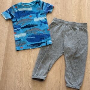 18m Blue Whale Print T-Shirt and Gray Pants Set